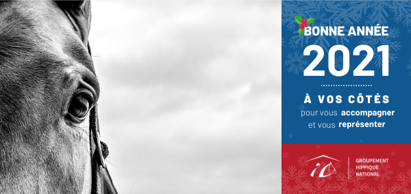 Bonne année 2021