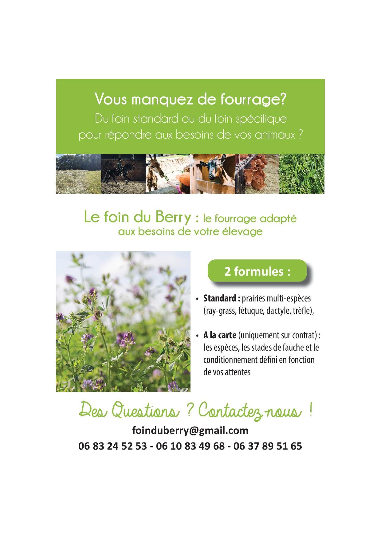 flyer foin du berry