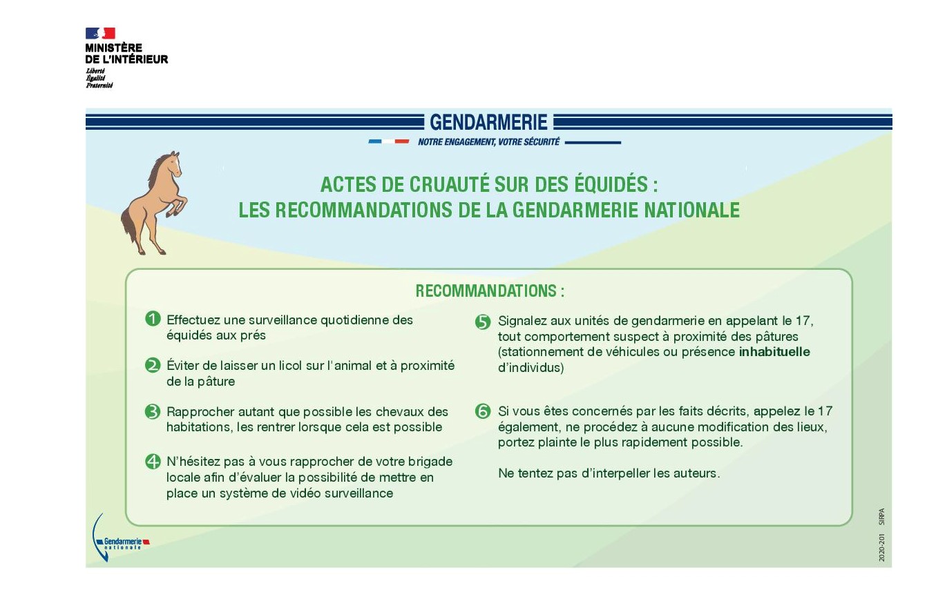 Actes de cruauté infographie