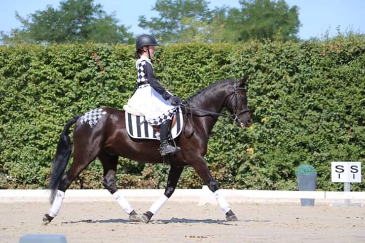 MONITEUR(TRICE)  Groupement Hippique National